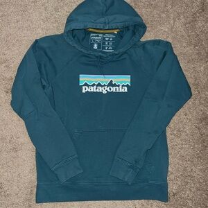 Patagonia Hoodie